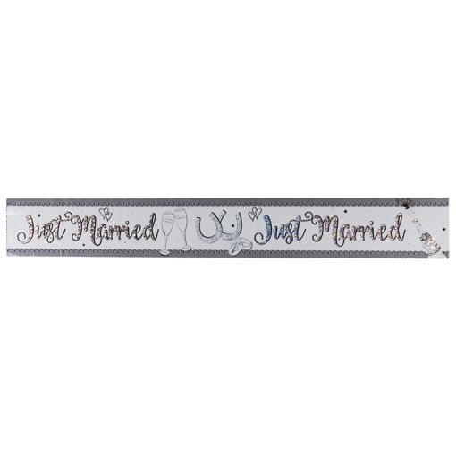 Picture of JUST MARRIED BANNER